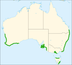 Map showing distribution of This canus along southern Australian coasts