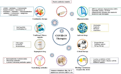 An overview of COVID-19 therapeutics and drugs.webp