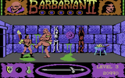 A digital representation of a barbarian, wearing only a loincloth, holds his axe at the ready as a big humanoid monster kicks him. On the top left and right corners of the screen are gauges that depict the lives of the combatants. The word "Barbarian II" lies in the top centre with five globes under it and placed between small pictures of a wizard and the barbarian. The player's score is displayed in the lower right corner. The lower centre of the screen depicts a sword that acts as a compass. The lower left panel shows items collected by the player character.