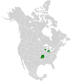 Calephelis mutica range map.PNG