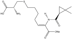 Cilastatin 2.png