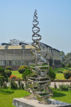DNA Helix (Sculpture) at National Institute of Biotechnology.jpg