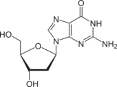 Skeletal formula of deoxyadenosine