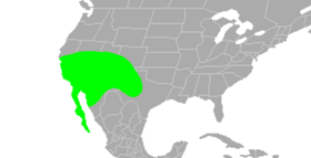 Distribution.phidippus.californicus.1.png