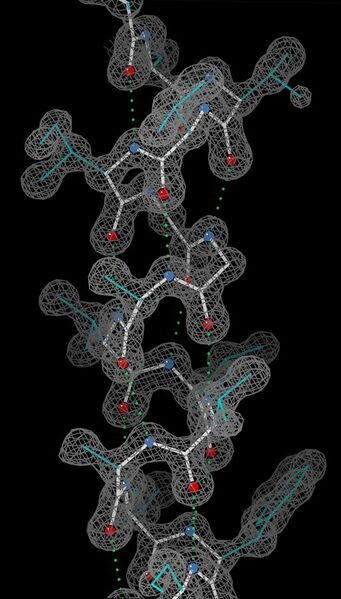 File:Helix electron density myoglobin 2nrl 17-32.jpg