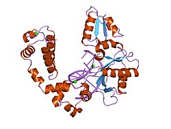 PDB 1zqc EBI.jpg