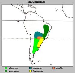 Rhea americana Distribuzione.jpg