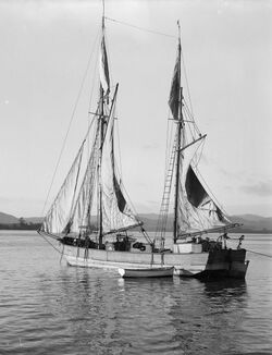 Sailing Scow In New Zealand.jpg