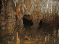 Stalactites and stalagmites inside the caves at Florida Caverns State Park.JPG