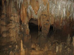 Stalactites and stalagmites inside the caves at Florida Caverns State Park.JPG