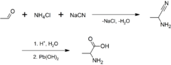 Synthesis of alanine - 1.png