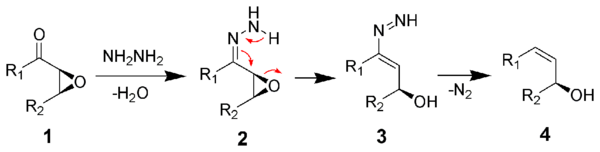 The mechanism of the Wharton reaction