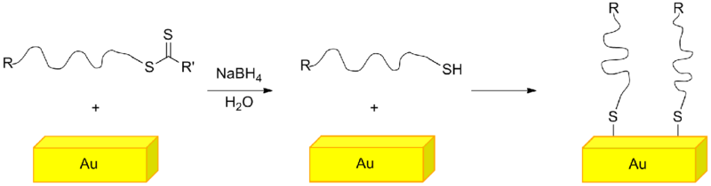 Grafting polymer on a gold surface utilizing the thiol functional end group