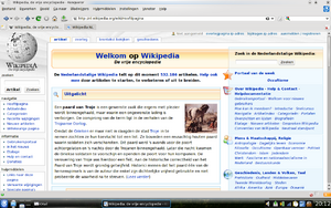 Konqueror web browser screenshot of nl wikipedia.png