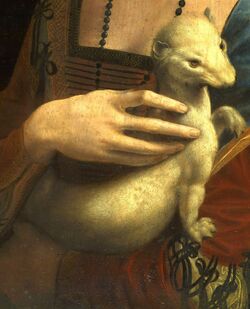 Léonard de Vinci - Dame à l'.jpg