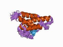 PDB 1cyl EBI.jpg