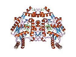 PDB 1i83 EBI.jpg