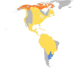 Pluvialis dominica map.svg