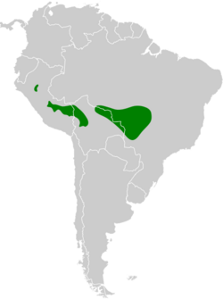 Ramphocaenus sticturus map.svg