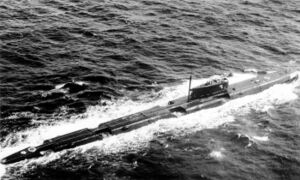 Submarine Echo II class.jpg