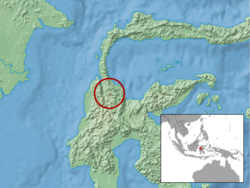 Tateomys macrocercus distribution.png