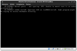Ubuntu 13.04 VirtualBox Kernel Panic.png