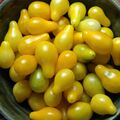 Yellow Pear Tomatoes 012.jpg