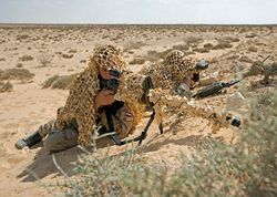 AI AWSM .338 Lap. Mag. Dutch ISAF sniper team.jpg