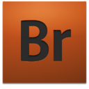 Adobe Bridge CS4 icon.png