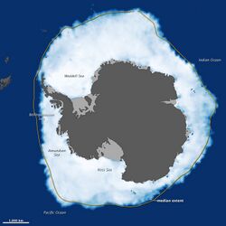 Antarctic Grows.jpg