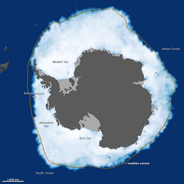 File:Antarctic Grows.jpg