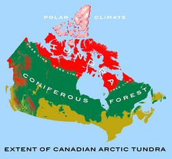 Canadian tundra 1.jpg