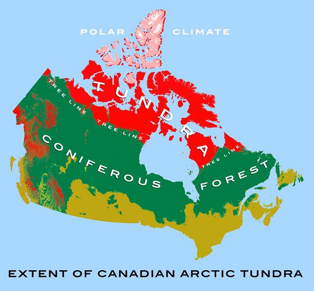 File:Canadian tundra 1.jpg