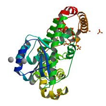 Crystal structure 1YT3.jpg