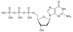 Skeletal formula of deoxyguanosine triphosphate