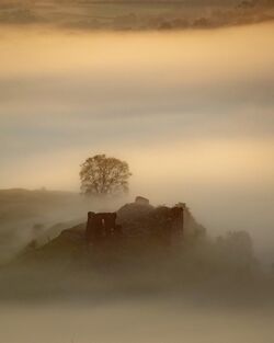 Dryslwyn castle in mist.jpg
