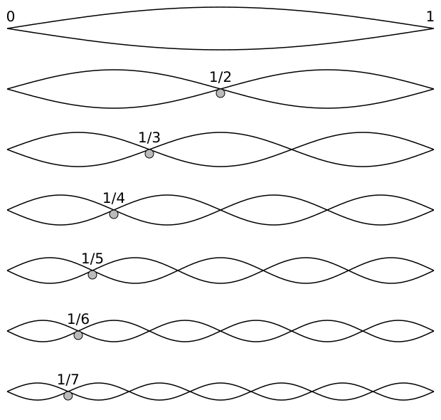File:Harmonic partials on strings.svg