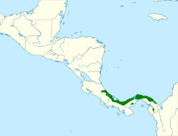 Heterospingus rubrifrons map.svg