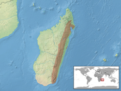 Lygodactylus miops distribution.png