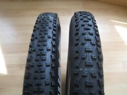 Mountain bike tires.JPG