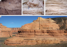 Nemegt and Baruungoyot Formations.png