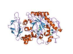 PDB 2cpu EBI.jpg