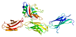 Protein ACAN PDB 1tdq.png