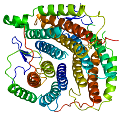 Protein MMAB PDB 2idx.png