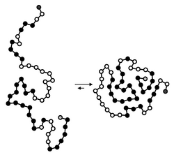 Protein folding schematic.png