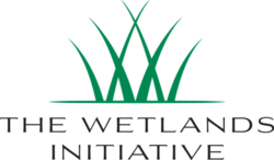 The wetlands initiative logo.png