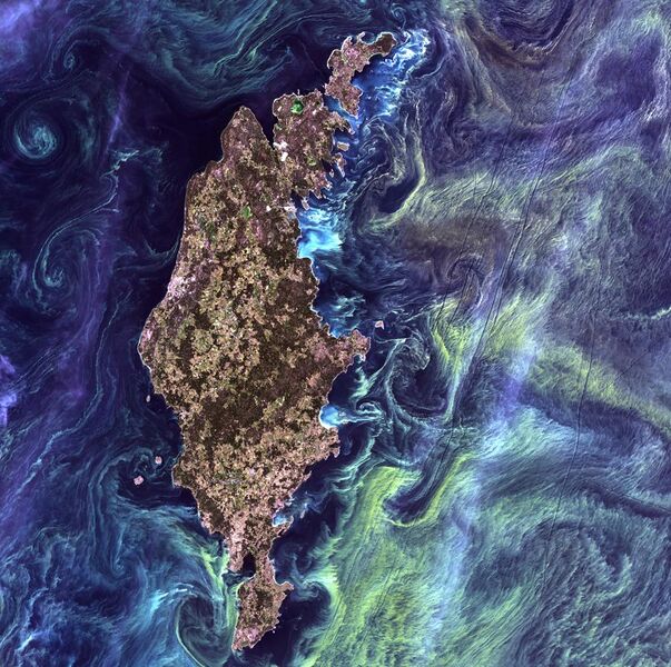 File:Van Gogh from Space.jpg