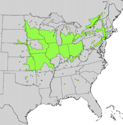 Zanthoxylum americanum range map.png