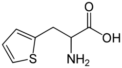 2-thienylalanine.svg