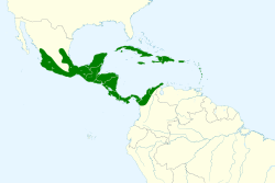 Artibeus jamaicensis map.svg